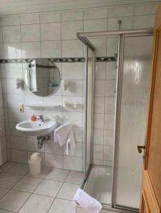 ein Bad mit einer Dusche und einem Waschbecken in der Unterkunft Landhaus Schneeberg in Mosbach