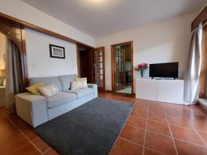 a living room with a couch and a television at Vale Formoso Apartment in Porto