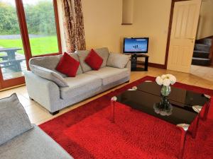 sala de estar con sofá y TV en Peregrine Stable Cottage, en Llandovery