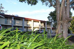 Galeriebild der Unterkunft Alpine Motor Inn in Katoomba