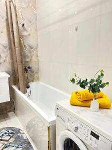 ein Badezimmer mit einer Waschmaschine und einer Anlage auf einer Theke in der Unterkunft Евродвушка вблизи MegaSilkWay & EXPO in Prigorodnyy