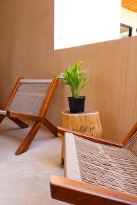 a plant sitting on a wooden stump next to a chair at Akbal Tulum in Tulum