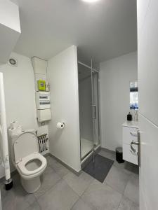 ein weißes Bad mit einem WC und einer Dusche in der Unterkunft Résidence du Temple in Martigues