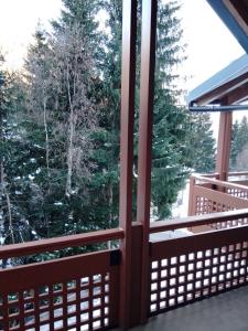 a screened in porch with a view of trees at Residence Orsa Maggiore in Madonna di Campiglio