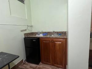 uma pequena cozinha com um lavatório e uma máquina de lavar louça em Castlevue B&B em Montego Bay