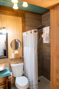Koupelna v ubytování Homer Inn & Spa