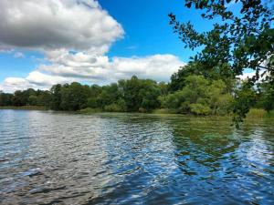 a view of a river with trees in the background at Charmig apartens in à house in stockholm in Stockholm