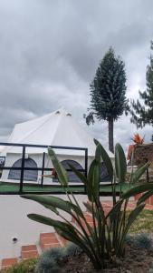 ein weißes Zelt neben einem Wasserkörper in der Unterkunft Killary Lodge in Cachanlo de Sidcay