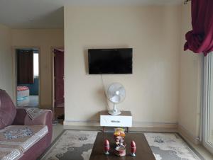 a living room with a couch and a tv on a wall at Kings Millennium in Nairobi