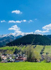 a small town in a green field with snow covered mountains at Casa de Svana Liptov in Ružomberok