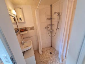 baño pequeño con ducha y lavamanos en Ferienwohnung im Wispertaunus, en Dickschied