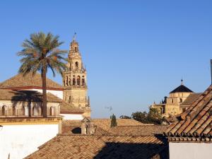 ein Gebäude mit einem Uhrturm und einer Palme in der Unterkunft Entre patios y flores in Córdoba
