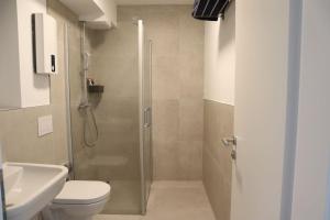 een badkamer met een douche, een toilet en een wastafel bij RheinMosel Glück 4 in Koblenz