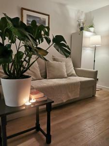 a living room with a couch and a potted plant at Peaceful house in the heart of Glasgow city, close to Queen Elizabeth Hospital and Govan subway, Free Private Parking in Glasgow
