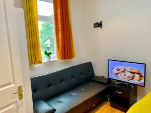 TV a/nebo společenská místnost v ubytování London Studio Apartments, Private Bathroom, Kitchenette, Parking, NP5 + 2 fotografie