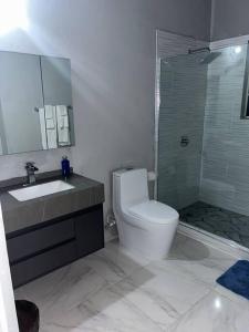 uma casa de banho com um WC, um lavatório e um chuveiro em Oak Villa Montego Bay 2 Entire em Montego Bay