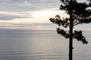 Φωτογραφία από το άλμπουμ του Duerme y despierta en el Mar σε Curanipe