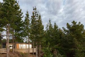 a house in the middle of a forest of trees at Duerme y despierta en el Mar in Curanipe