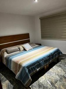 ein Schlafzimmer mit einem großen Bett in einem Zimmer in der Unterkunft Casa Cotito in Guadalajara