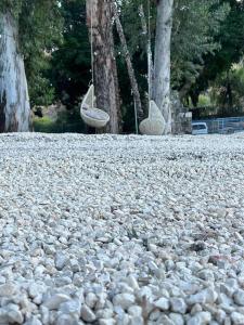 a large pile of rocks on the ground with two swings at בית על חוף כנרת in Tiberias