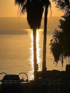 a sunset over the ocean with a palm tree at בית על חוף כנרת in Tiberias