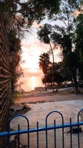 提比里亞的住宿－בית על חוף כנרת，海滩前的蓝色长椅,享有日落美景