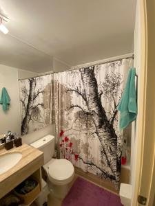 y baño con cortina de ducha, aseo y lavamanos. en Departamento laguna bahía sol, en Algarrobo