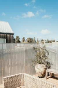 una pianta in vaso seduta sopra un balcone di The Oak & Anchor Hotel a Port Fairy