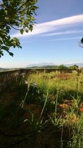 Fotografie z fotogalerie ubytování Agriturismo Castelli In Aria v destinaci Atri