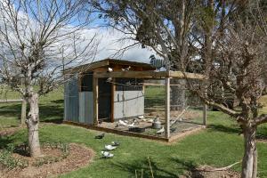 a chicken coop in the middle of a yard at Motel3858 in Heyfield