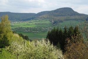 Blick auf ein Tal mit grünen Hügeln und Bäumen in der Unterkunft Ferienwohnungen beim Imker in Mössingen