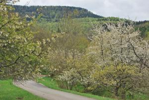 un chemin de terre avec des arbres sur le côté d'une montagne dans l'établissement Ferienwohnungen beim Imker, à Mössingen