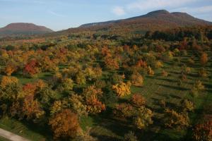 an aerial view of a field with trees and mountains at Ferienwohnungen beim Imker in Mössingen +47 photos