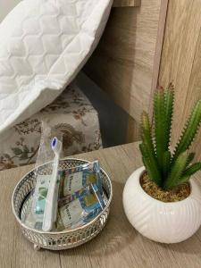 a table with a toothbrush and a potted plant at apartamento inteiro in Cuiabá