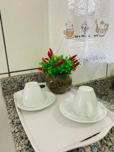 two white plates and a vase with red flowers on a counter at apartamento inteiro in Cuiabá