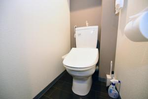 a bathroom with a white toilet in a stall at サンコート本郷通ガーデンヒルズ in Tsukisappu