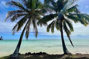 duas palmeiras numa praia com o oceano em Fare Te Ava - Comfy cabin w Private Beach Access em Haapiti