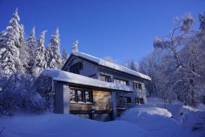 a house covered in snow with snow covered trees at Schwarzwaldhimmel in Feldberg