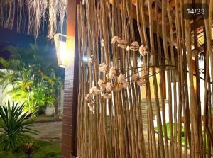 VILA LITORANEA Hotel外面的花园