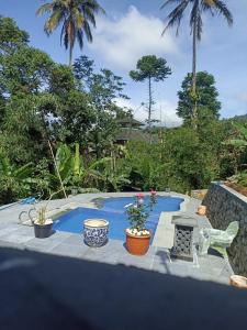 a swimming pool with plants in a yard at Villa Dikawah Ratu 1000m2 in Jabon