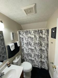 uma casa de banho com um WC e uma cortina de chuveiro em Home sweet home em Columbus
