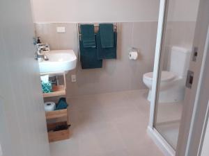 a bathroom with a sink and a toilet and green towels at Karapiro Willows Luxury B & B in Cambridge