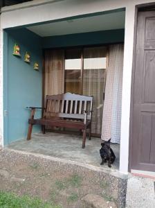 a black cat sitting in front of a house with a bench at Paradise Celeste in Bijagua