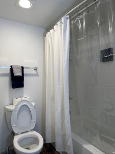 a bathroom with a white shower curtain and a toilet at Studio Unit in the MedCenter in Houston