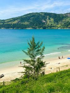 uma vista para uma praia com uma árvore na praia em Luz do Sol Prainha - 3 Quartos em Arraial do Cabo