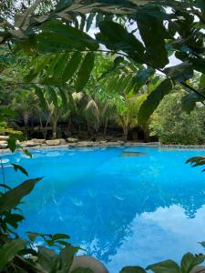 KOFAN Ecohotel في بويرتو أسيس: تجمع الماء الأزرق مع مجموعة من الأشجار