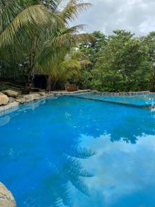 KOFAN Ecohotel في بويرتو أسيس: حمام سباحة أزرق كبير مع أشجار النخيل في الخلفية
