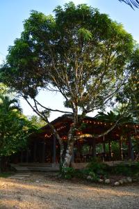 un edificio con un árbol delante de él en KOFAN Ecohotel, en Puerto Asís