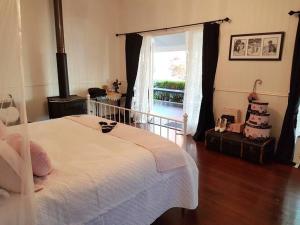 a bedroom with a bed and a large window at Canungra Valley Getaway in Canungra