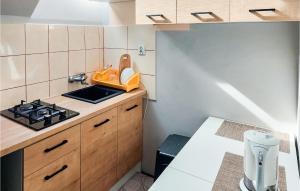 a small kitchen with a stove and a sink at 3 Bedroom Beautiful Apartment In Wiselka in Wisełka
